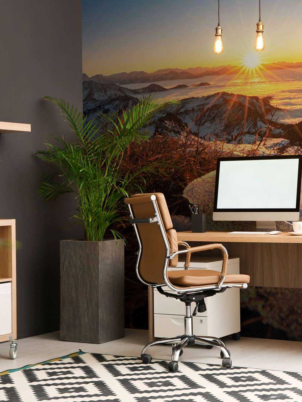 Ochtendzon op glinsterende bergweide