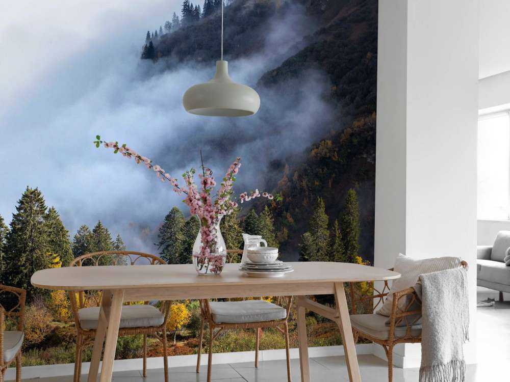 Herfstochtend in mistig bergbos