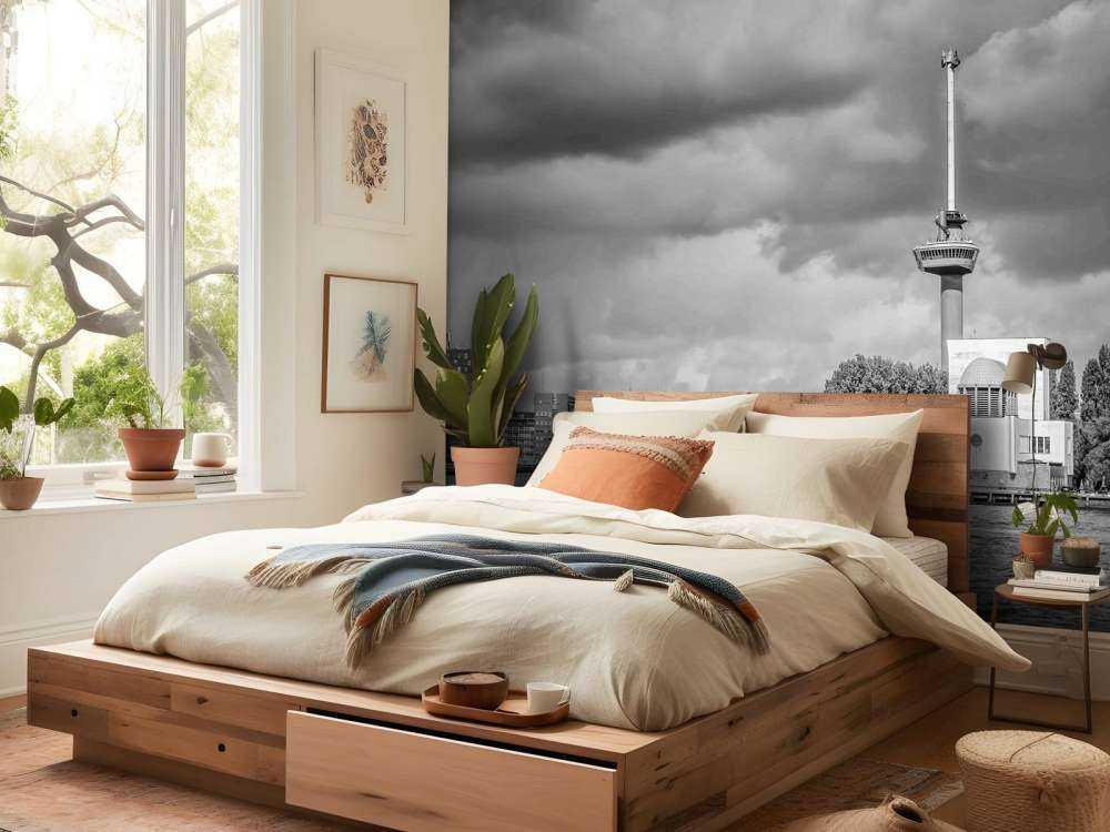 Euromast en Maas in Monochroom