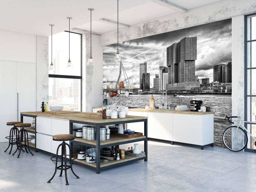 Erasmusbrug en Skyline in Monochroom