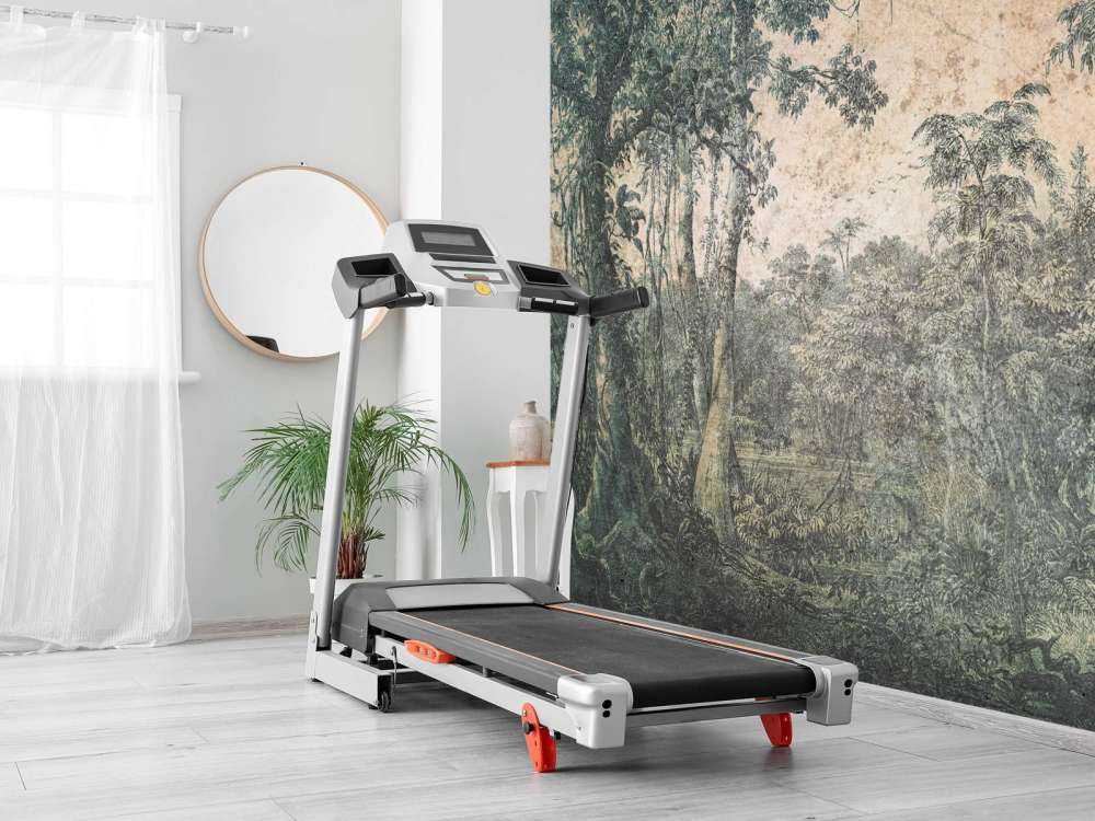 Verweerd tropisch woudpanorama