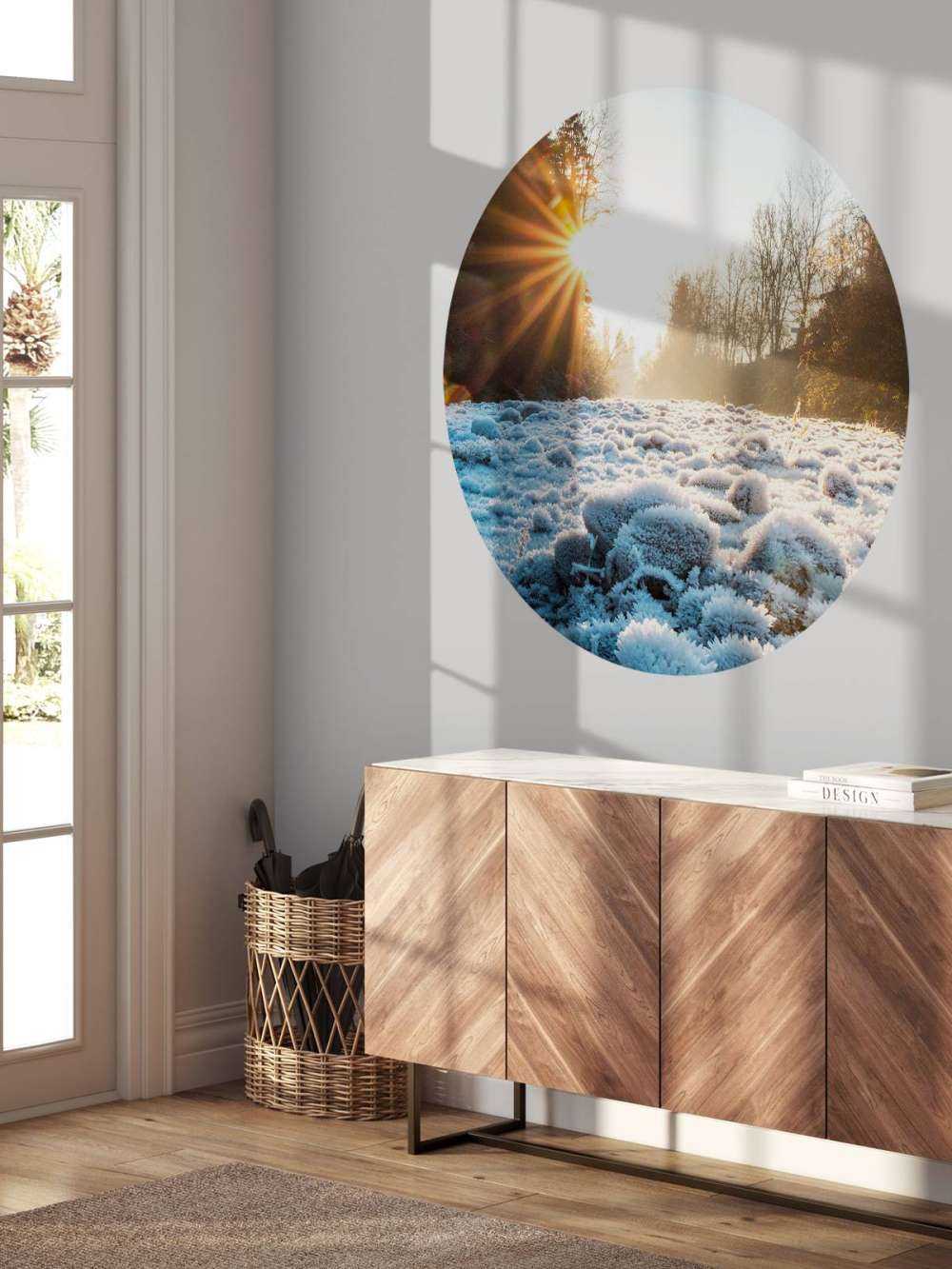 Ijzige ochtend in winterbos