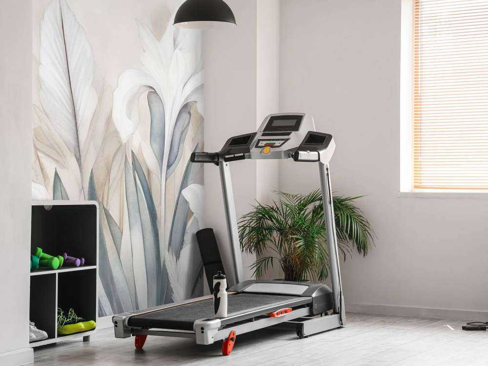 Irises at Sunrise Grey