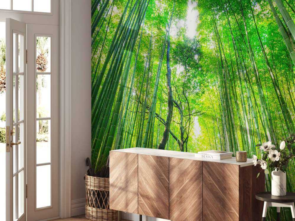 Bamboebos van Arashiyama