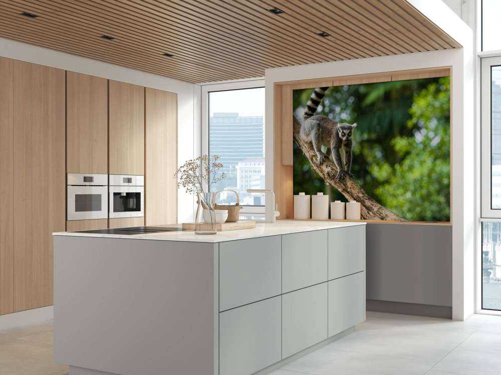 Ringstaart aap in een boom