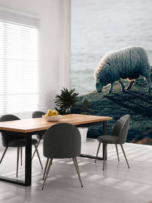 Grazend schaap