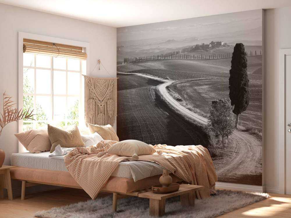 Morning in the field