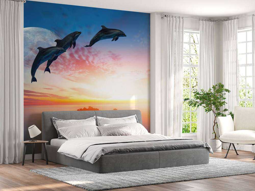 Dolfijnen in de nacht