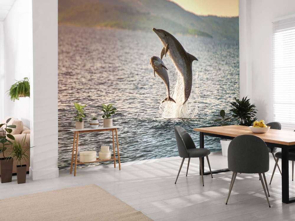 Twee springende dolfijnen