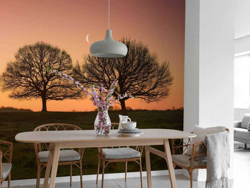 Maantje tussen de bomen