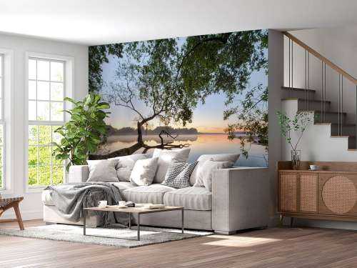 Lake view