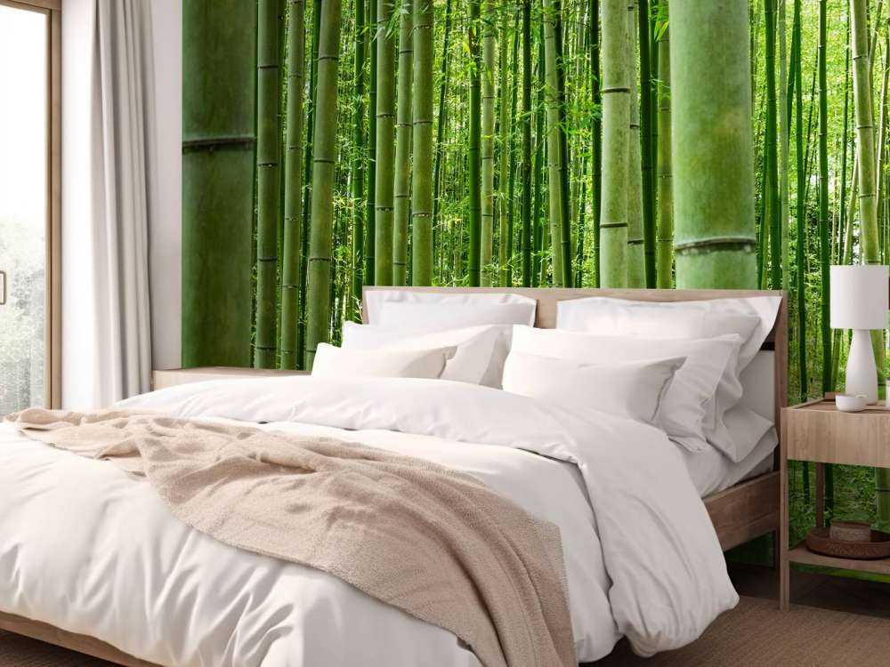 Midden in het bamboebos