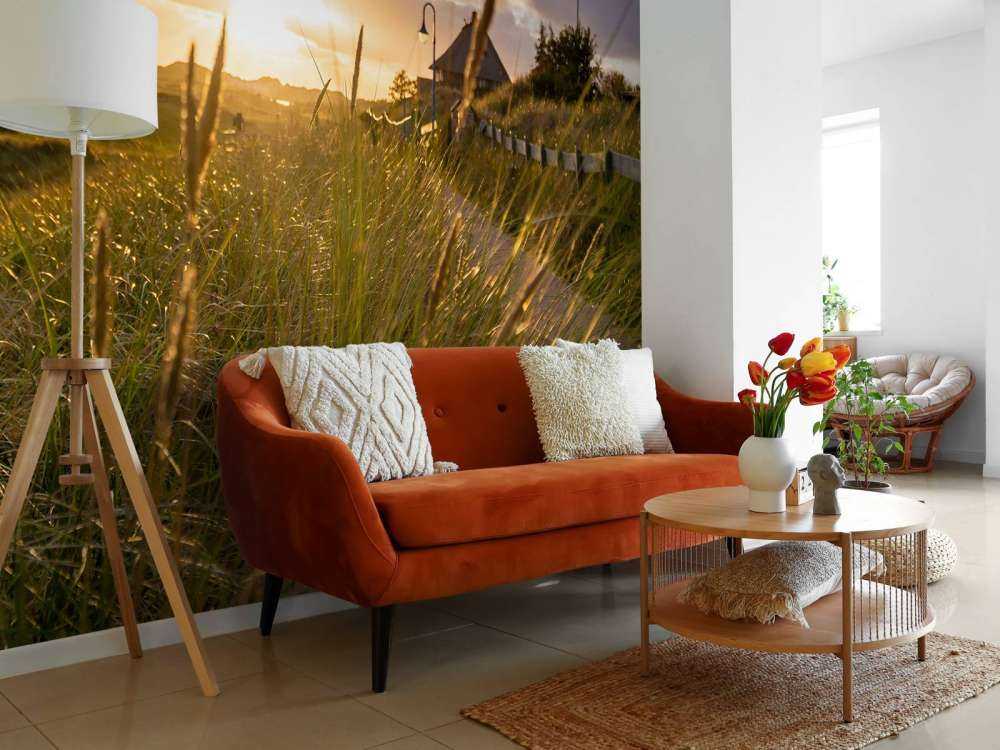 Riet bij zonsondergang