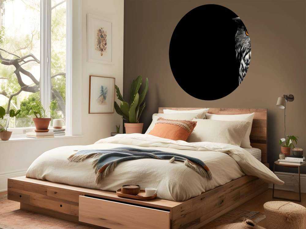 Uil in de duisternis