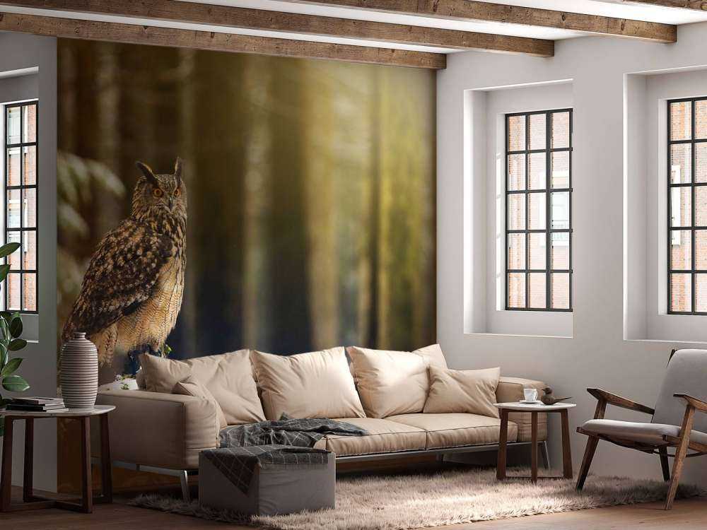 Uil in een sneeuwig bos