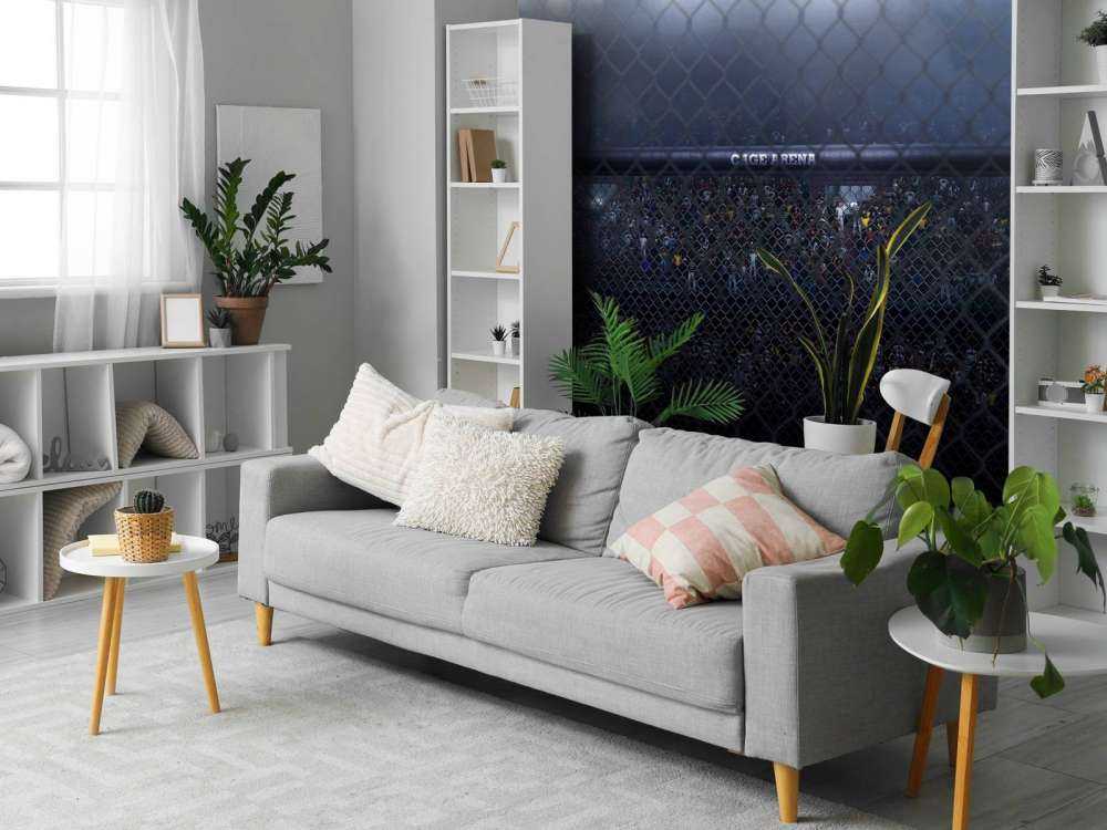 MMA arena van dichtbij