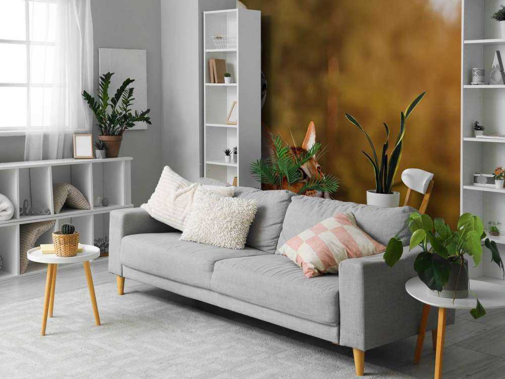 Hond en kat kijken naar boven