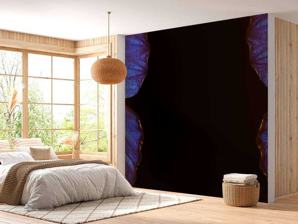 Twee vlinders met een zwarte achtergrond