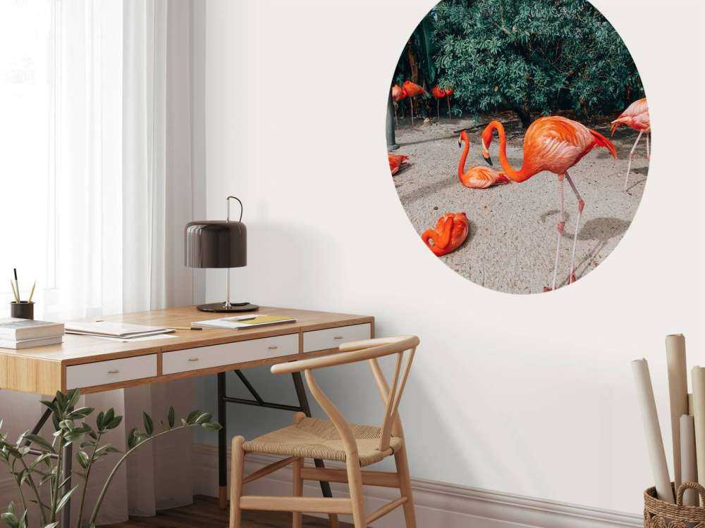 Flamingo's op een Caribisch eiland