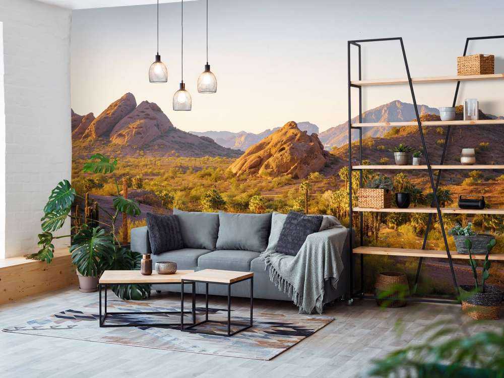 Woestijnlandschap met cactussen