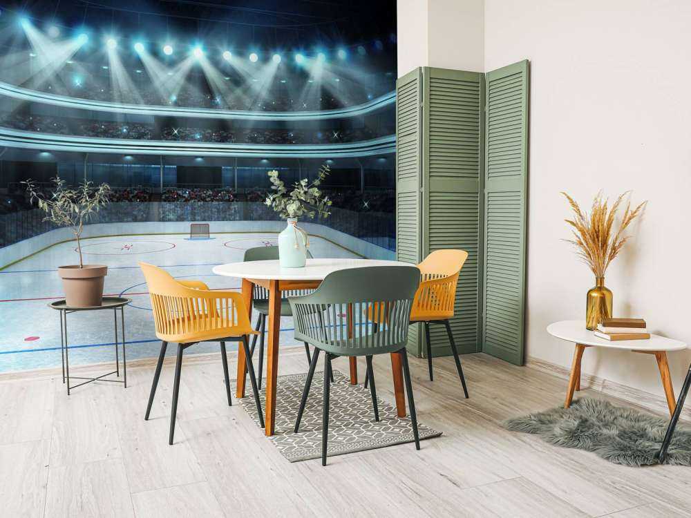 Luxueuze ijshockey arena op de lengte