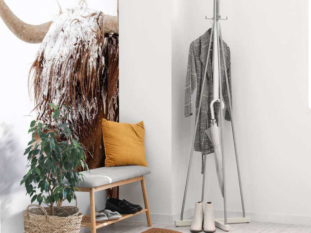 Schotse Hooglander in de sneeuw