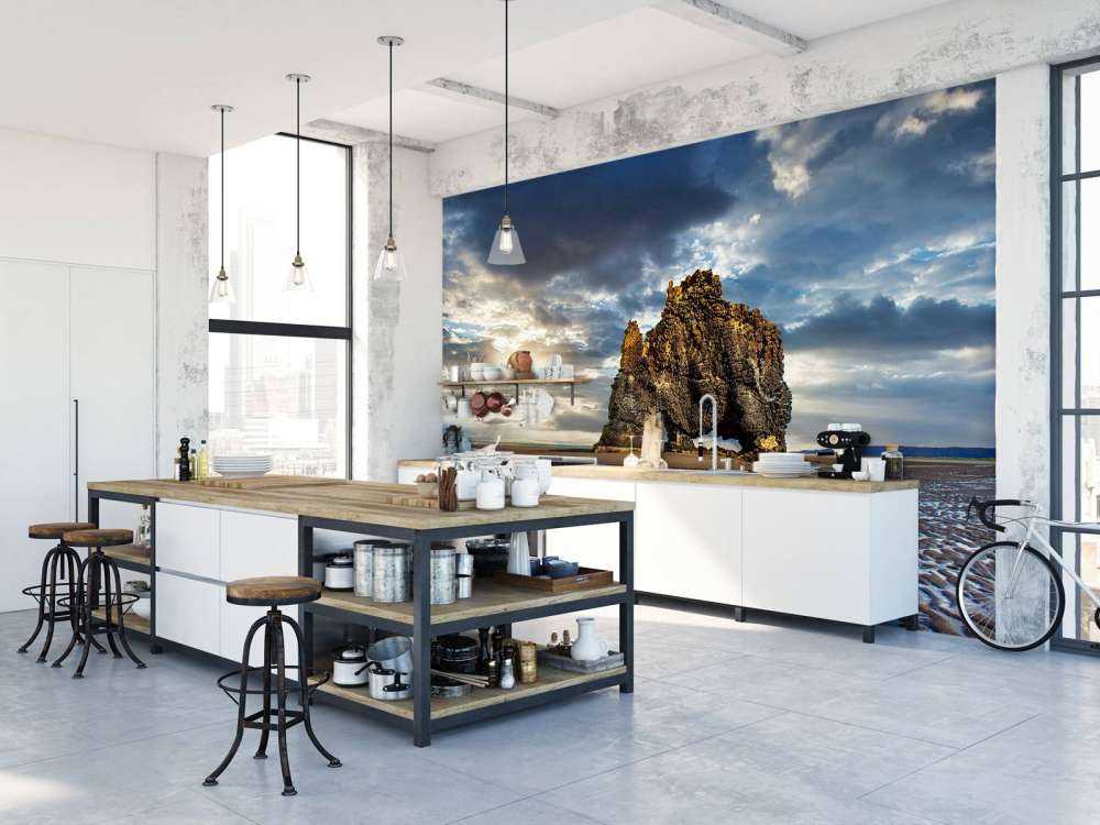 Hvítserkur rots in IJsland