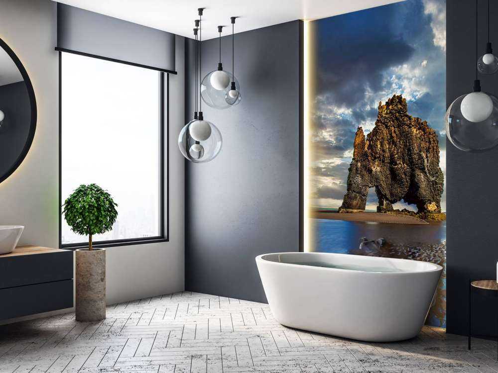 Hvítserkur rots in IJsland