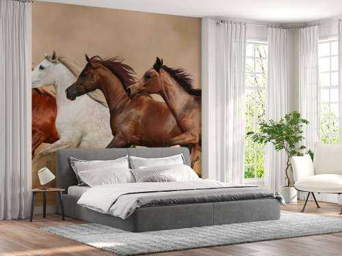 Galopperende paarden in een zandstorm