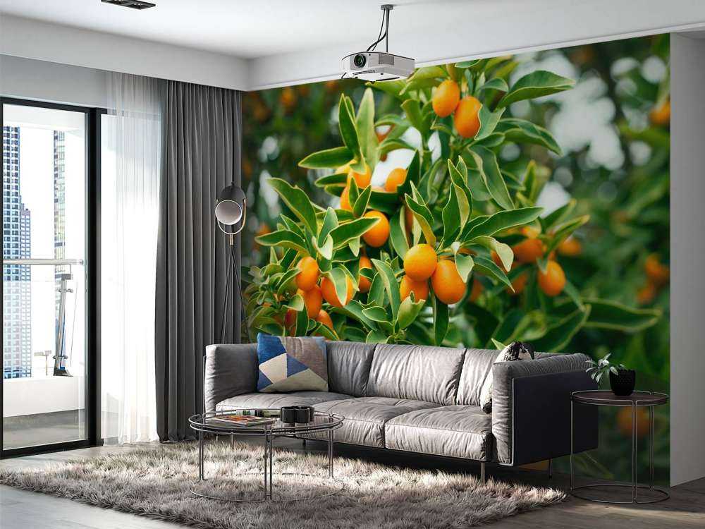 Fruitboom 