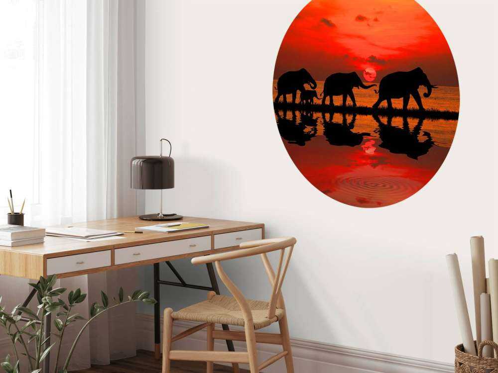 Olifanten en zonsondergang