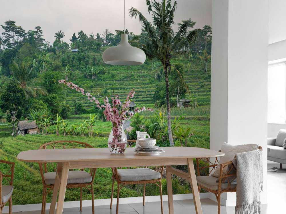 Rijstveld in Bali