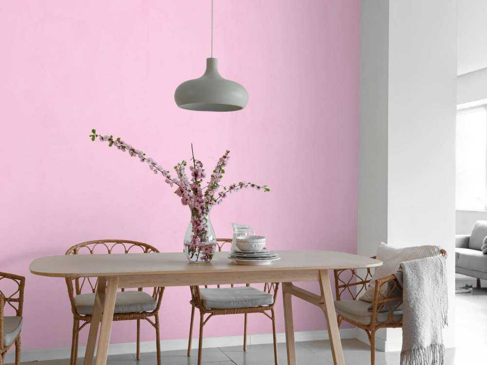 Koningin roze beton