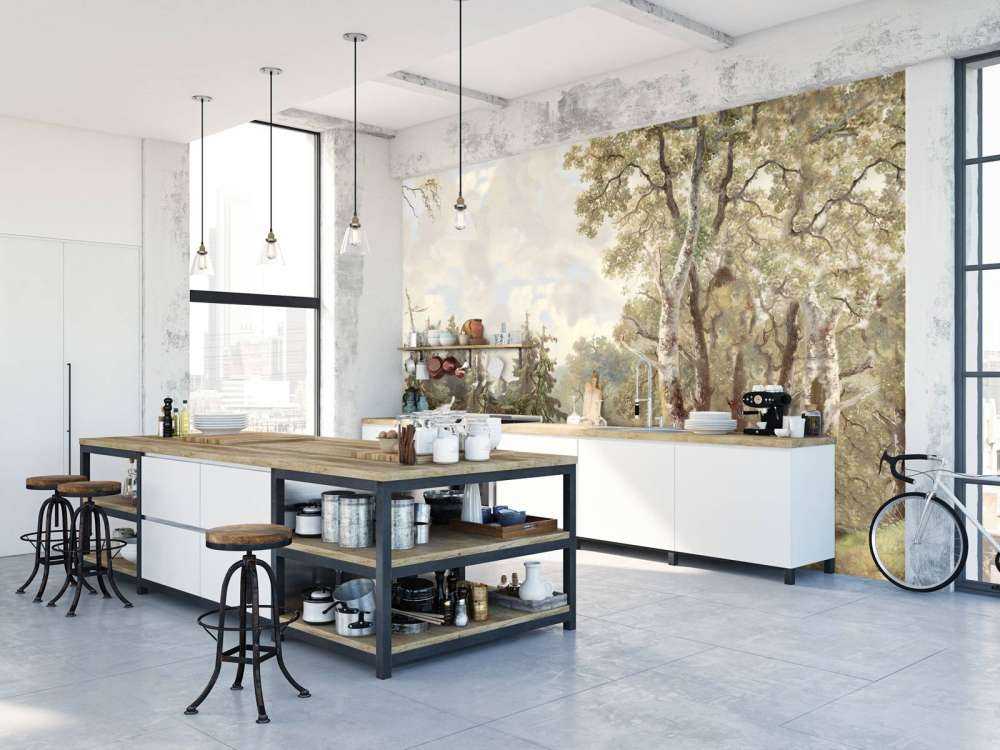 Forest Landscape Color #1