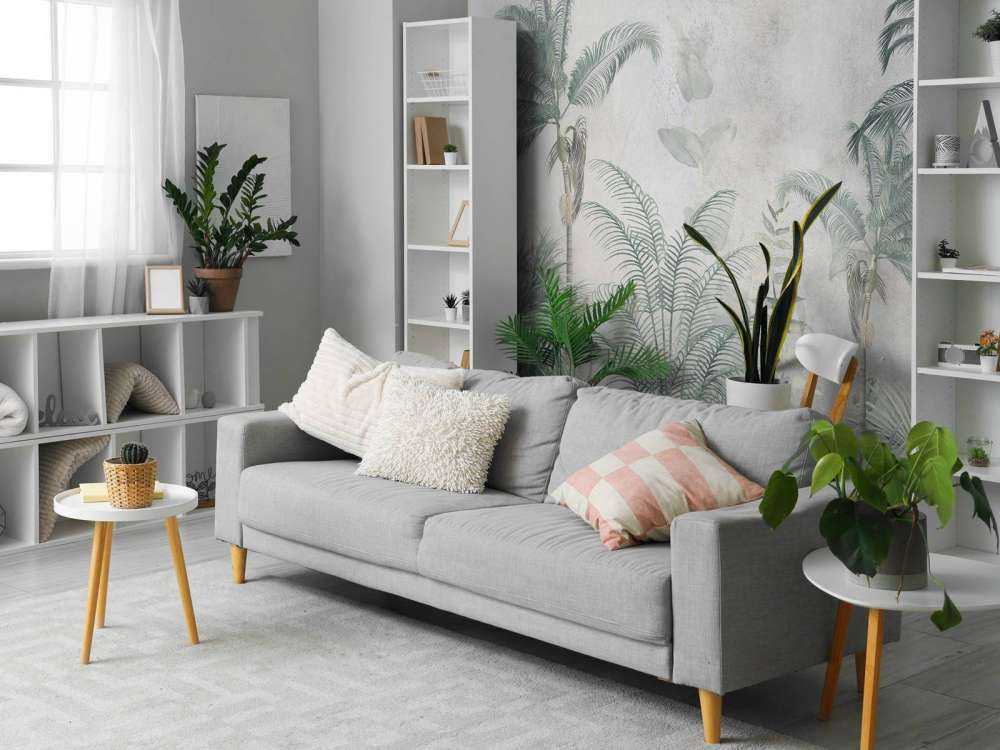 Nevelig Tropenparadijs