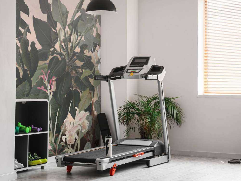 Walking to the Tropic 3