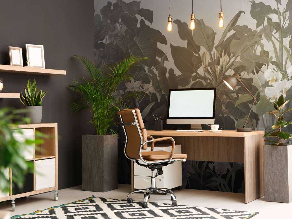 Walking to the Tropic 1