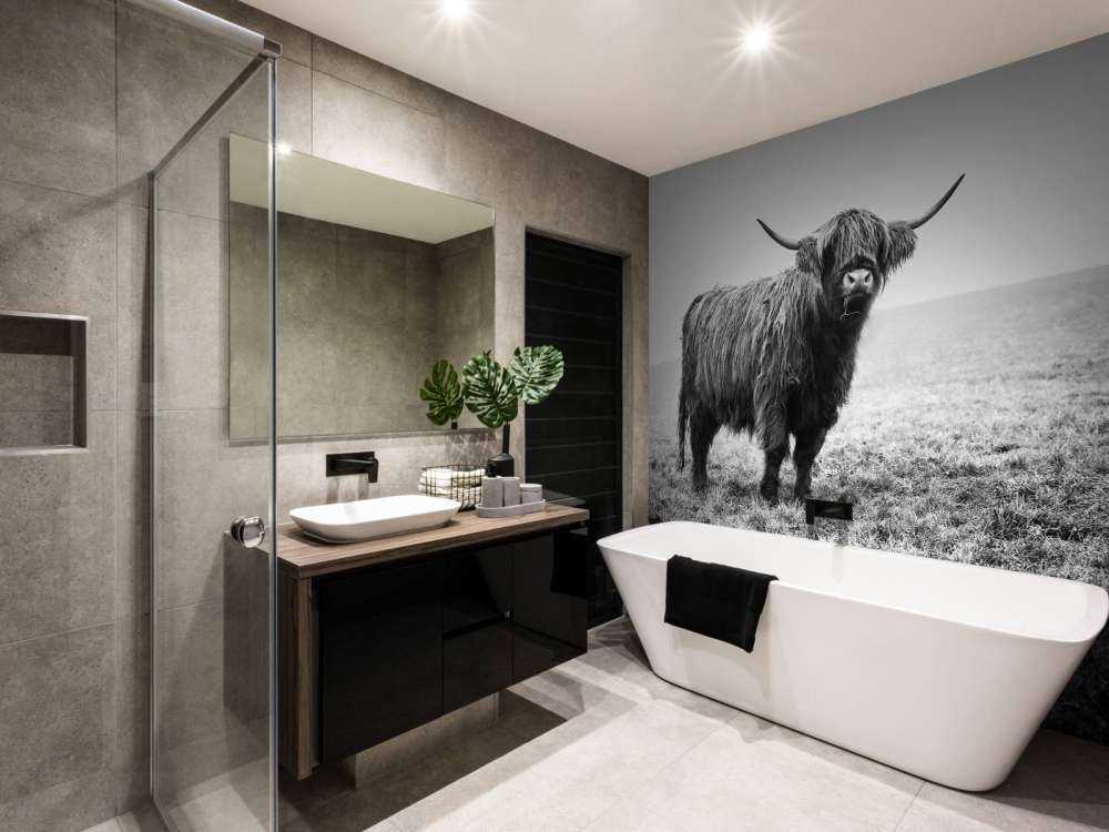 Schotse hooglander in het gras