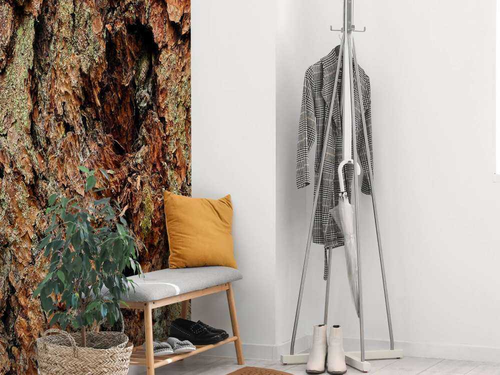 Boomschors oude boom