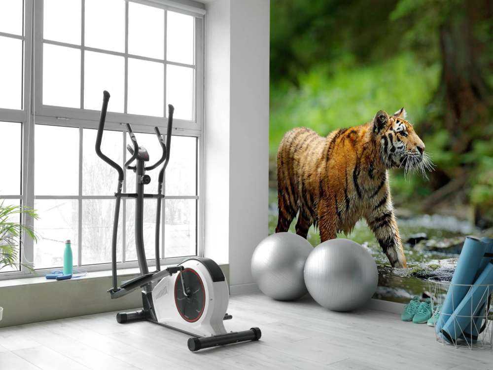 Tijger in Russische natuur