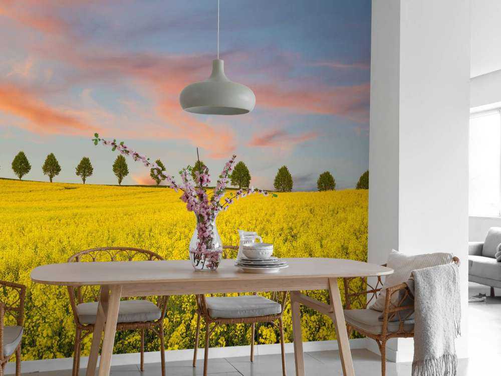 Veld vol gele bloemen