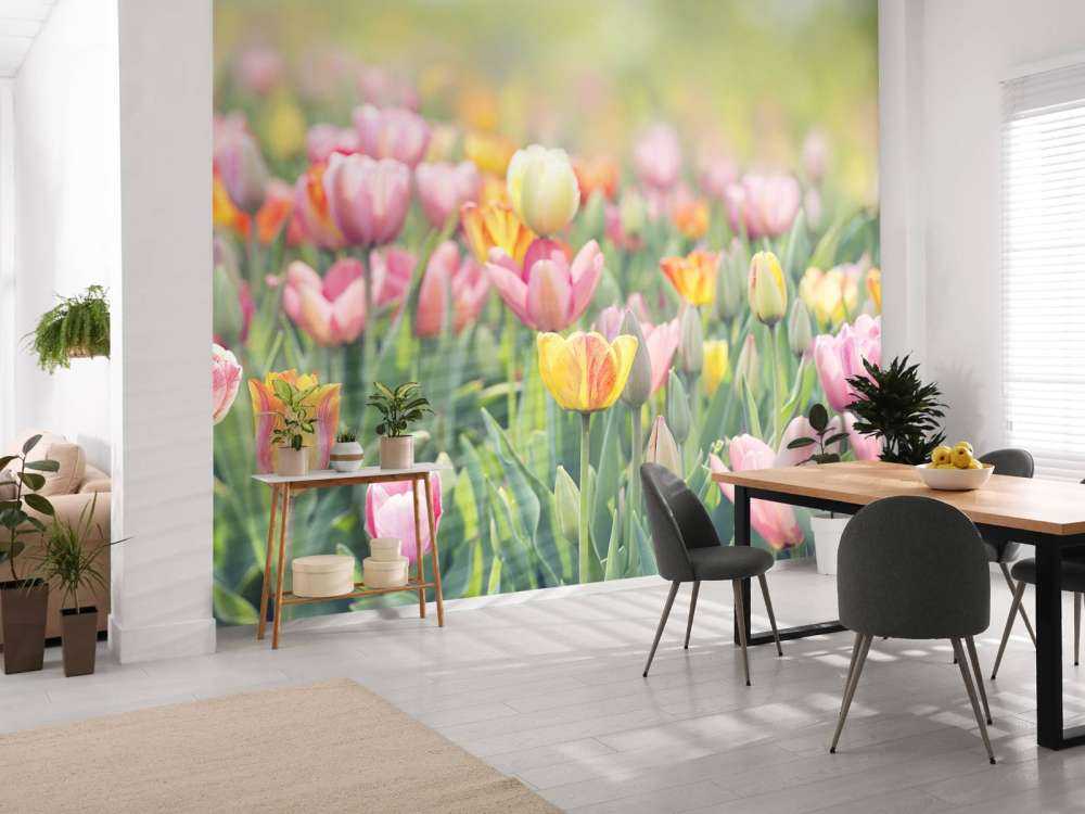 Kleurrijke tulpen