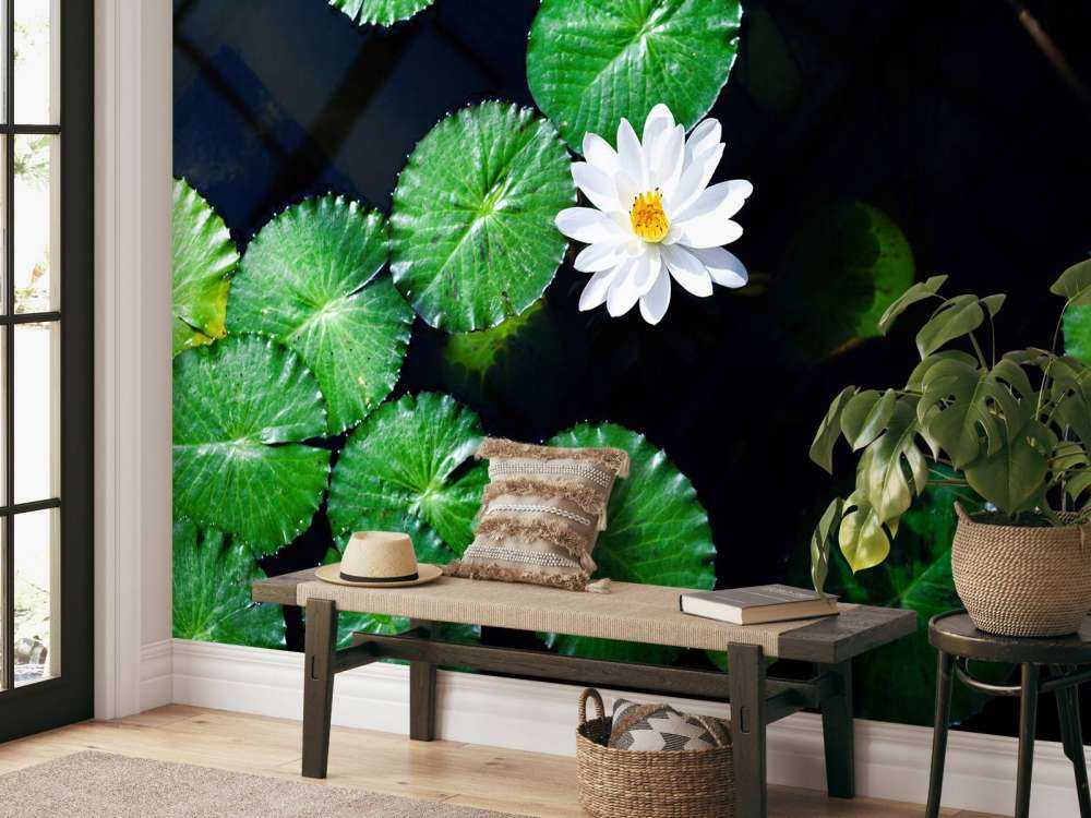 Opvallende witte kleine lotusbloem