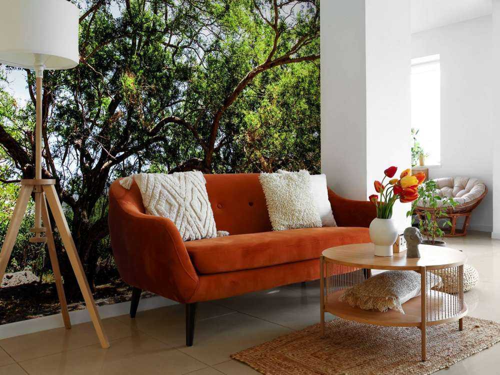 Oude Boom in Jungle