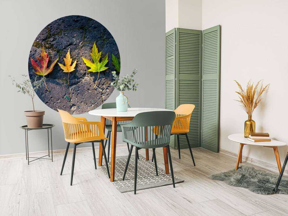 Kleurrijke bladeren in de herfst