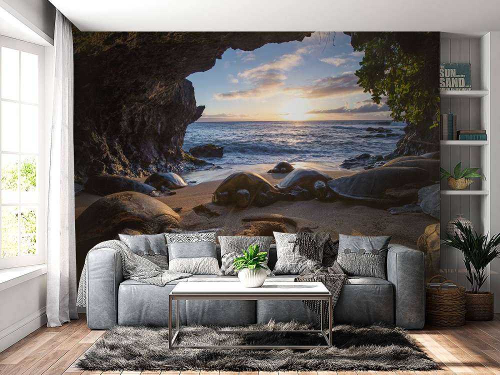 Schildpadden in een grot