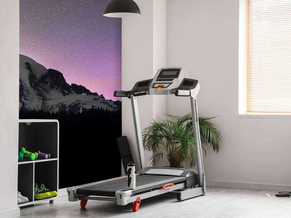 Mount Rainier met noorderlicht