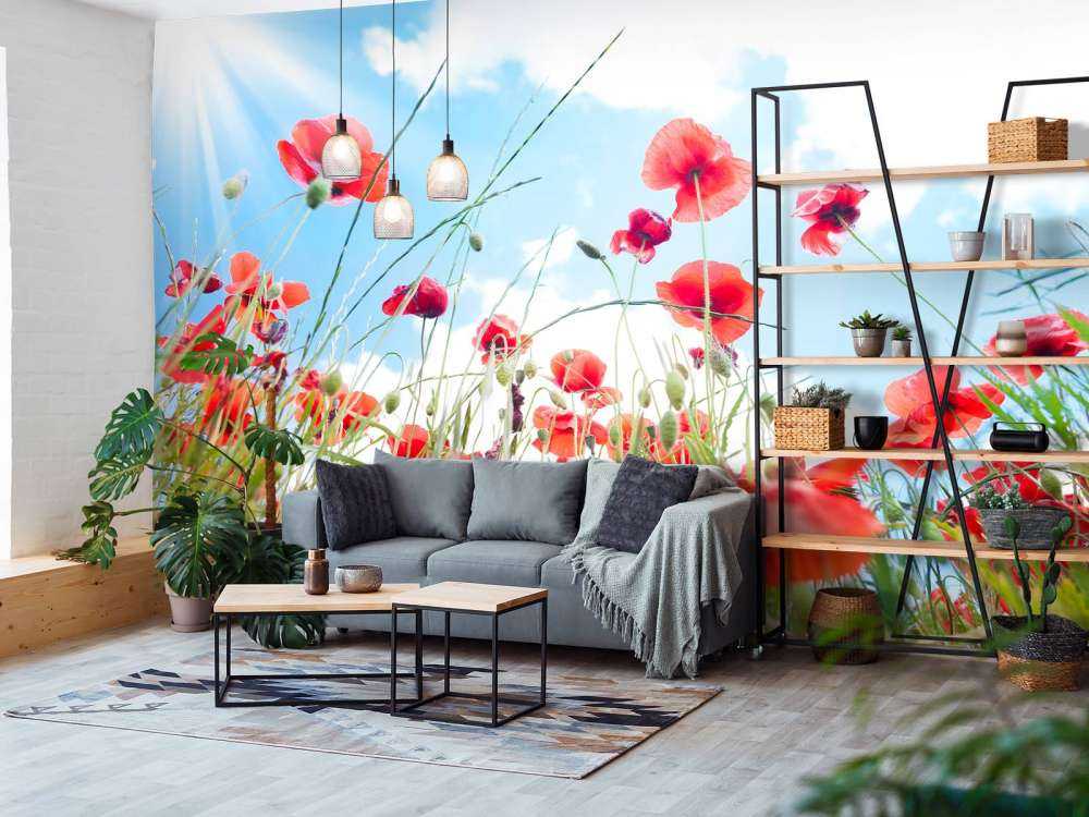 Klaprozen in het voorjaar