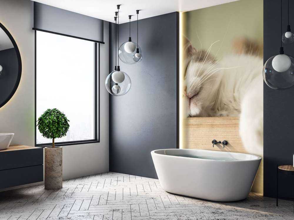 Close-up van een slapende kat