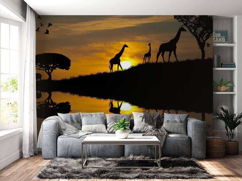 Zonsondergang in een tropisch gebied